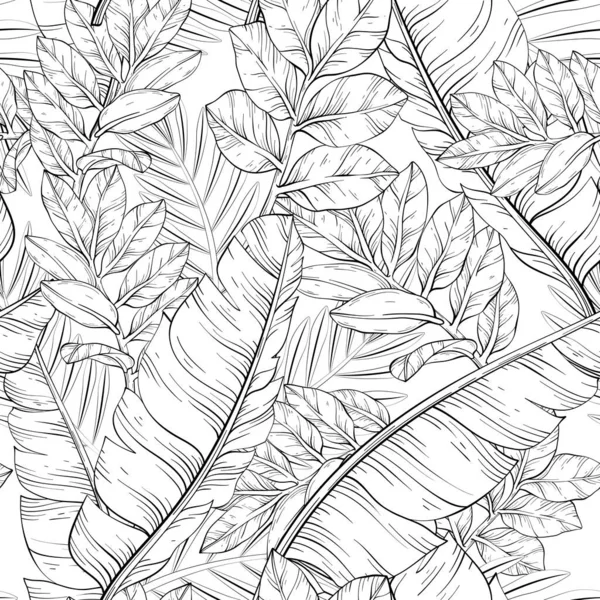 Дизайн Листьев Джунглей Тропическая Печать Векторная Иллюстрация Черное Белое — стоковый вектор