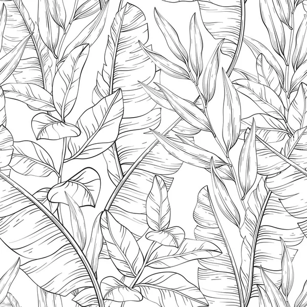 Botanique Modèle Sans Couture Noir Blanc Feuilles Tropicales Banane Illustration — Image vectorielle