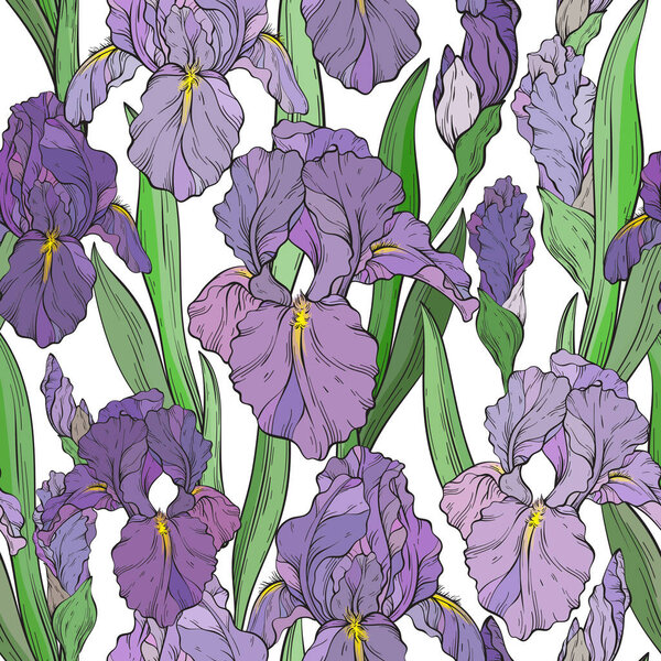 Seamless pattern with iris flowers and leaves. Spring floral print, hand drawn plants. Vector illustration.