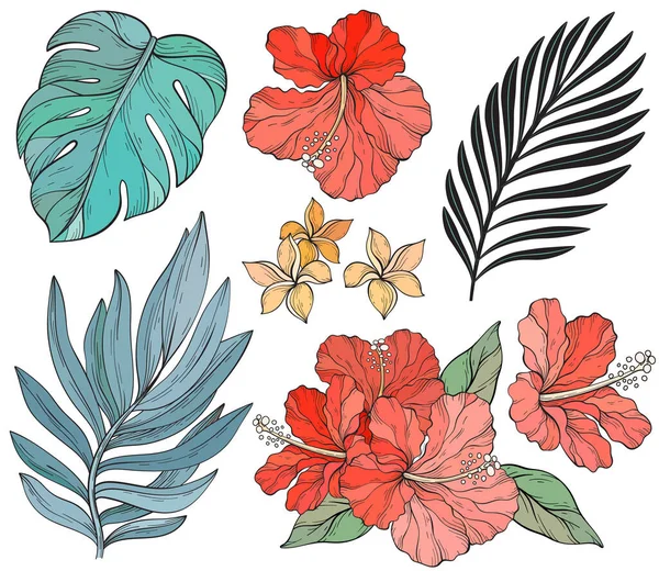 Conjunto Exóticas Flores Tropicales Hojas Hibiscus Palma Ilustración Vectorial Ilustración De Stock