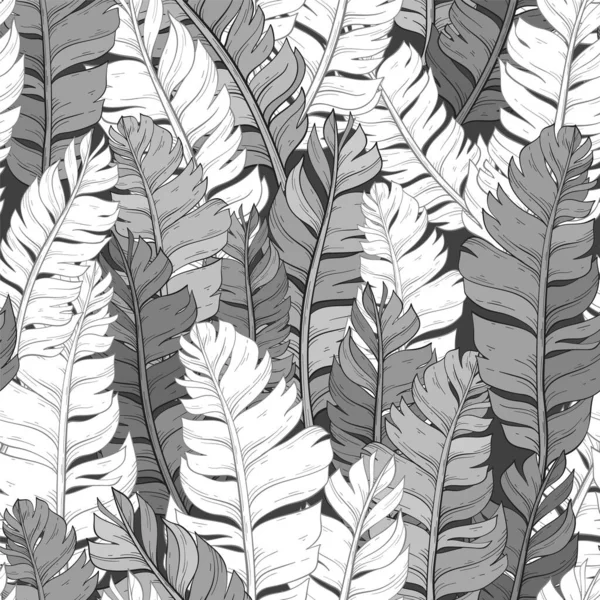 热带棕榈叶单色图案 丛林中叶无缝合花图案背景 — 图库矢量图片