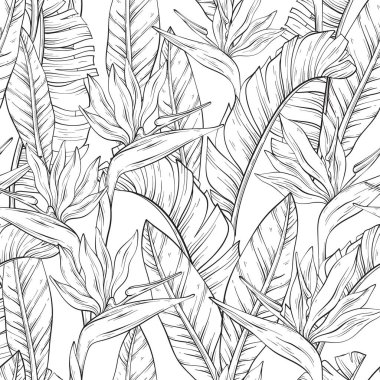 Tropikal cennet kuşu çiçekleri ve Strelitzia Reginae yapraklarıyla kusursuz bir desen. Vektör illüstrasyonu.