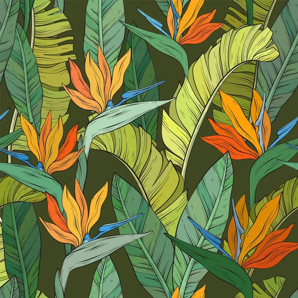 Modèle Sans Couture Avec Oiseau Tropical Fleurs Paradisiaques Feuilles Strelitzia — Image vectorielle