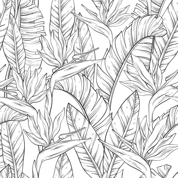 Бесшовный Контур Тропической Птицей Райских Цветов Листьев Стрелици Reginae Векторная — стоковый вектор