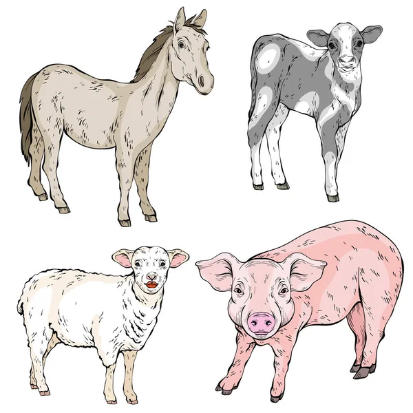 Farm Animals Set Sheep Horse Pig Cow — Stock Vector
