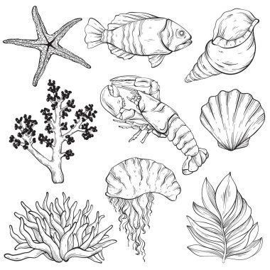 Vektör çizgisi deniz yaratıkları ayarlandı. Vahşi yaşam deniz sakinleri