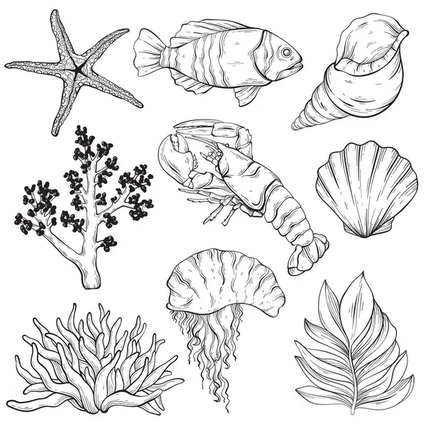 Vektör çizgisi deniz yaratıkları ayarlandı. Vahşi yaşam deniz sakinleri