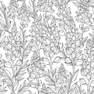 Lupin çiçekleri ve yapraklarıyla kusursuz desen. Yapraklı ve lupinli çiçek desenli taşıyıcı..