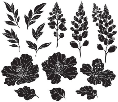 Lupin, amber ve yaprak siluetleriyle dolu. Yapraklı ve lupinli çiçek desenli taşıyıcı..