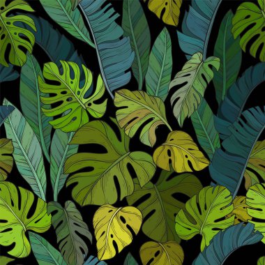 Siyah arka planda yeşil canavar yaprakları olan kusursuz bir desen. Vektör illüstrasyonu