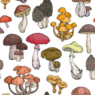 Farklı mantarlı kusursuz desen, grafik çizim, kesilmiş mantar, porcini mantarı, shiitake ve chanterelle izole edilmiş. Vektör illüstrasyonu