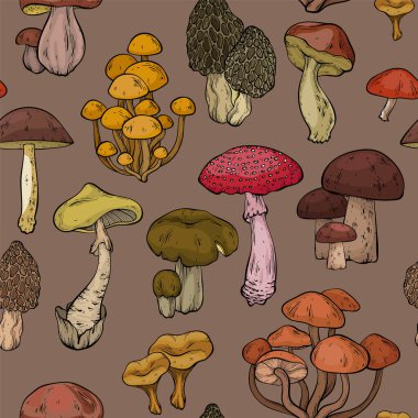 Kahverengi arka planda farklı mantarlar, grafik çizimler, kesilmiş mantar, porcini mantarı, shiitake ve chanterelles izole edilmiş. Vektör illüstrasyonu
