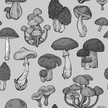 Siyah tek renkli mantarlı kusursuz desen, grafik çizim, kesilmiş mantar, porcini mantarı, shiitake ve chanterelles izole edilmiş. Vektör illüstrasyonu