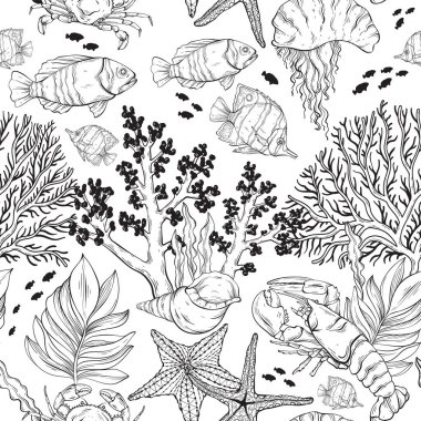 Deniz yaşamı deseni, okyanus ve sualtı dünyası farklı canlılarla. Kusursuz vektör çizimi çizimi