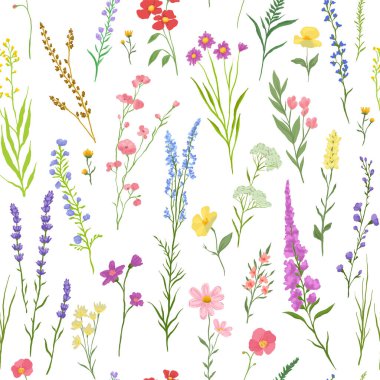 Çeşitli kır çiçekleri ve narin bitkilerle kusursuz desenlerin vektör çizimi