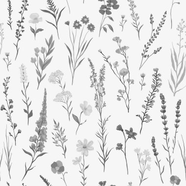 Çeşitli kır çiçekleri ve narin bitkilerle kusursuz monokrom deseninin vektör çizimi