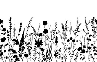 Çeşitli kır çiçekleri ve hassas bitkilerle siluetlerin vektör çizimi, sağdan sola doğru pürüzsüz