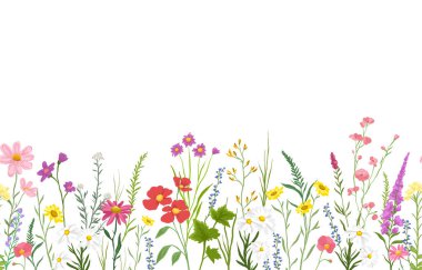 Çeşitli kır çiçekleri ve sağdan sola pürüzsüz bitkilerle arka planda vektör çizimi