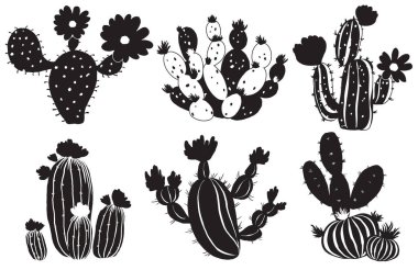 Kaktüs siluet Koleksiyonları Set, vektör illüstrasyonu