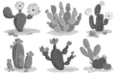 Kaktüs monokrom Koleksiyonları Set, vektör illüstrasyonu