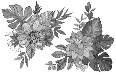 Canlı bir kompozisyon için yapraklarla düzenlenmiş tek renkli tropikal çiçeklerin vektör kümesi