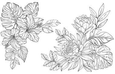 Karmaşık yapraklı tropikal çiçeklerden oluşan vektör çizgisi koleksiyonu yemyeşil yaprakların arasında yer alır.