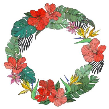 Çiçeklerden oluşan dairesel bir çelenk içeren canlı bir çiçek çizimi, yemyeşil canavarı olan cennet kuşu ve beyaz arka planda muz yaprakları.