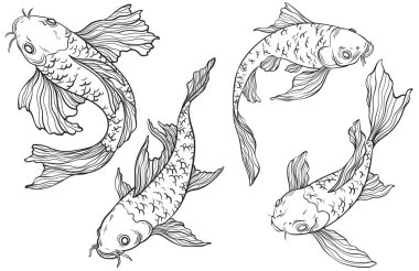 Art line Koi carp set on white background, Chinese new year, fish for festival on backdrops, line art of koi fish
