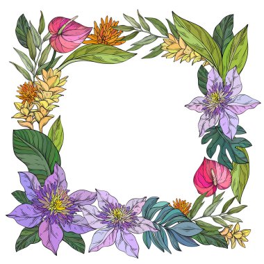 A beautifully detailed floral vector illustration of a square frame adorned with lush Clematis flowers, ginger flowering and palm leaves, elegantly set against a clean white background