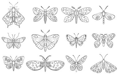 A vector illustration featuring intricately designed butterflies and moths in line art style, showcasing diverse wing patterns and artistic detailing