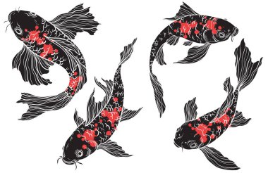 Beyaz arka planda siyah ve kırmızı Koi sazan balığı, Çin yeni yılı, arka planda festival için balık, koi balığı koleksiyonu