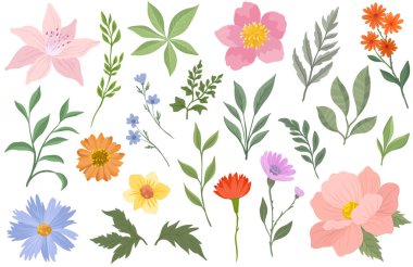 Rengarenk çiçekler ve yeşil yaprakların narin botanik tarzında yer aldığı bir vektör çizimi