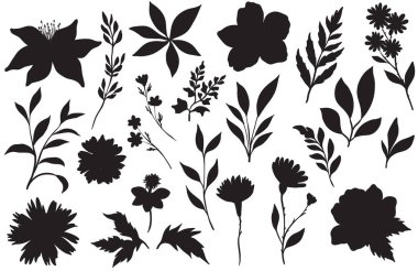 Beyaz bir zemin üzerinde çeşitli çiçek, yaprak ve dallardan oluşan siyah botanik siluetler.