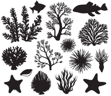 Mercanların, deniz bitkilerinin, balıkların, denizyıldızlarının, sualtı temalarının bir vektör çizimi