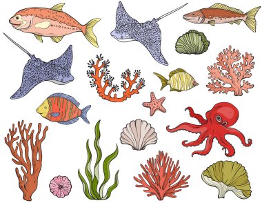 Renkli tropikal balık seti, mercan resifleri, deniz yosunu ve deniz bitkisi içeren canlı sualtı manzaralı bir vektör çizimi