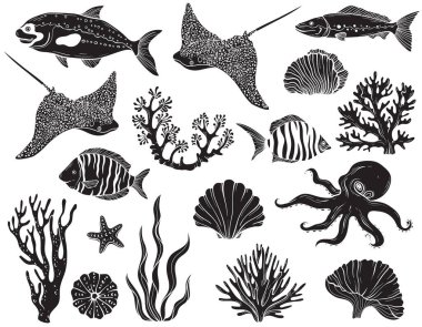 Tropikal balıklar, mercan resifleri, deniz yosunu ve deniz bitkilerinin olduğu kusursuz bir sualtı görüntüsü.