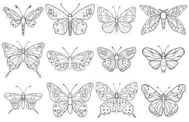 Karmaşık kanat desenli çizgi sanatı kelebeklerinin vektör çizimi, çeşitli sanatsal ve doğal tasarımlar sergiliyor.