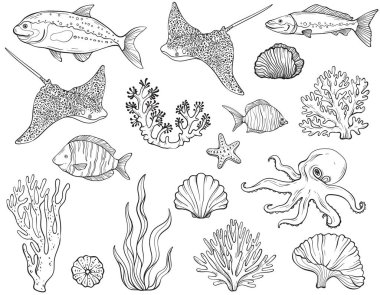 Tropikal balıklar, mercan resifleri, deniz yosunu ve deniz bitkileriyle çizilmiş kusursuz bir vektör çizimi