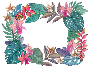 Beyaz bir merkezi çevreleyen tropikal çiçek deseni, helikonias, plumerias ve bereketli canavar yapraklarından oluşan ayrıntılı bir vektör çizimi.