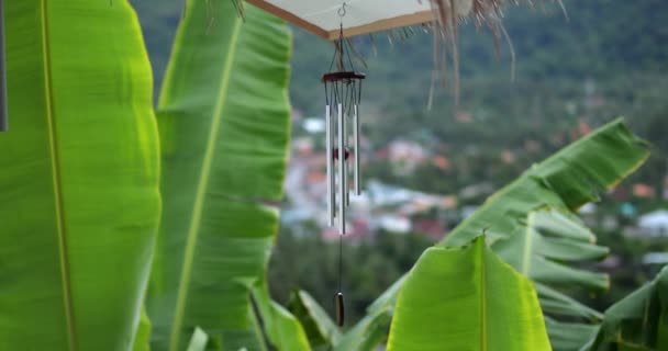 Музичний Кулон Wind Chimes Висить Ганку Будинку Тлі Тропічних Джунглів — стокове відео