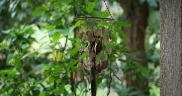Sea Shell Wind Chime Moving Wind Hanging Green Nature Background — Stock Video
