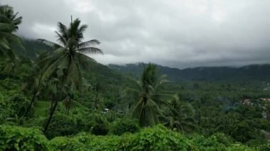 Gök gürültülü palmiye ağaçlarının üzerinden dağlara doğru uçan hava manzarası, yağmur mevsiminde fırtına öncesi ormanın ve dağların güzel tropikal manzarası. Samui, Tayland Tropikal Ormanı