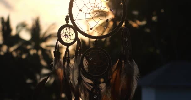 Close Silhouette Dream Catcher Feathers Flying Wind Hunter Dreams Sunset — Stock Video