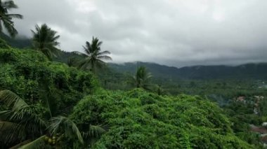 Gök gürültülü palmiye ağaçlarının arasından dağlara doğru uçan hava manzarası, yağmur mevsiminde fırtınadan önce ormanın ve dağların güzel tropikal manzarası. Samui, Tayland Tropikal Ormanı