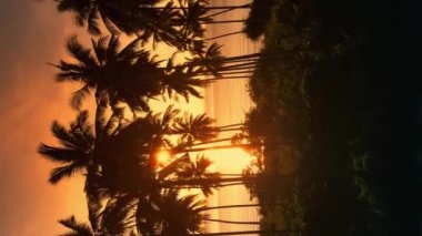 Lovely red sunset view of the palm trees and the sea, a beam of light shines through the palm trees, aerial shot, vertical video.