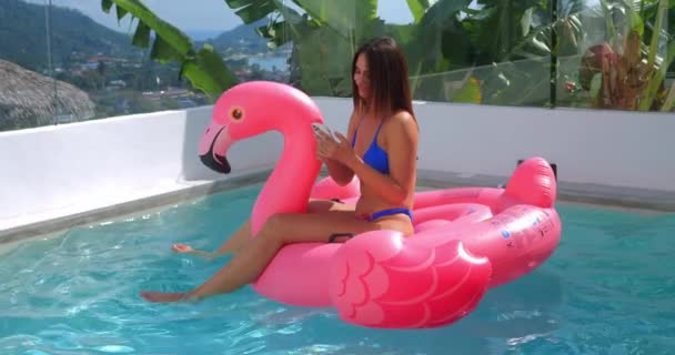 Tourist Female Scrolling Mobile Phone While Sunbathing Inflatable Pink Flamingo — Stockvideo