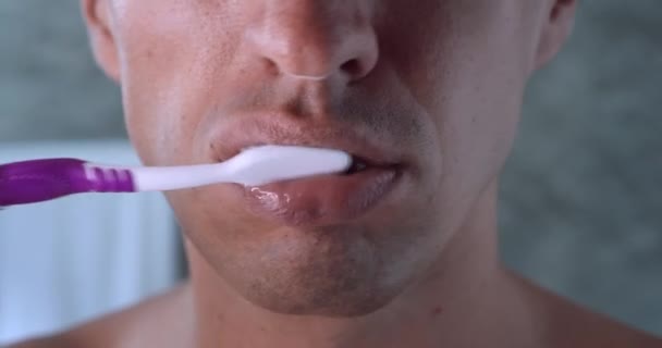 Fechar Boca Masculina Escovar Dentes Com Escova Dentes Manual Banheiro — Vídeo de Stock