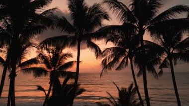 Cinematic red sunset at ocean coast with palm leaves silhouette in front. Drone aerial view beautiful scenery tropical nature golden sunset or sunrise at sea with palms silhouette. tropical paradise