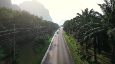 Yağ palmiyeleri ile döşenmiş yeşil ormanda geçen arabalarla yol üzerinde uçan drone atışı. Tayland 'ın yağlı palmiye ağaçları ve Yengeç Burcu' yla ormanda sinematik uçuş.