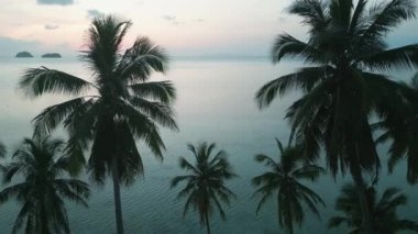 Akşamları tropik plajda, turkuaz deniz suyunun arka planındaki palmiye ağaçlarının hava görüntüsü. Akşam saatlerinde inanılmaz tropikal plajlar